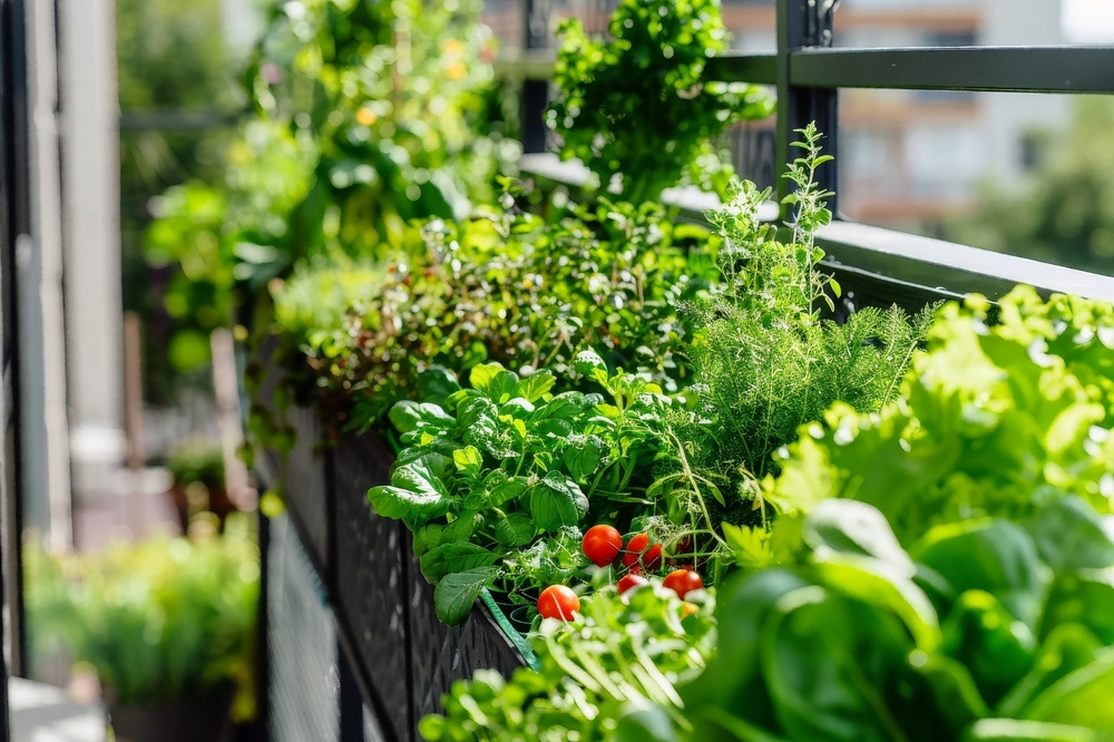 Comment créer un potager sur son balcon Minute Facile — free download